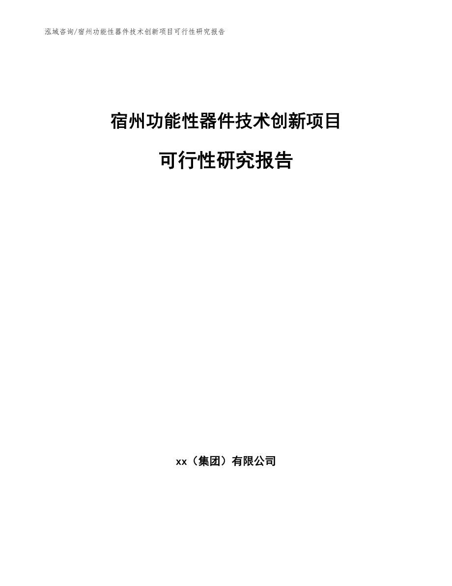 宿州功能性器件技术创新项目可行性研究报告_模板_第1页