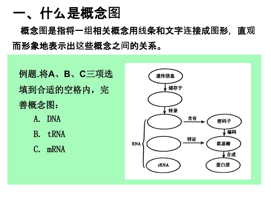 概念图的复习_第3页