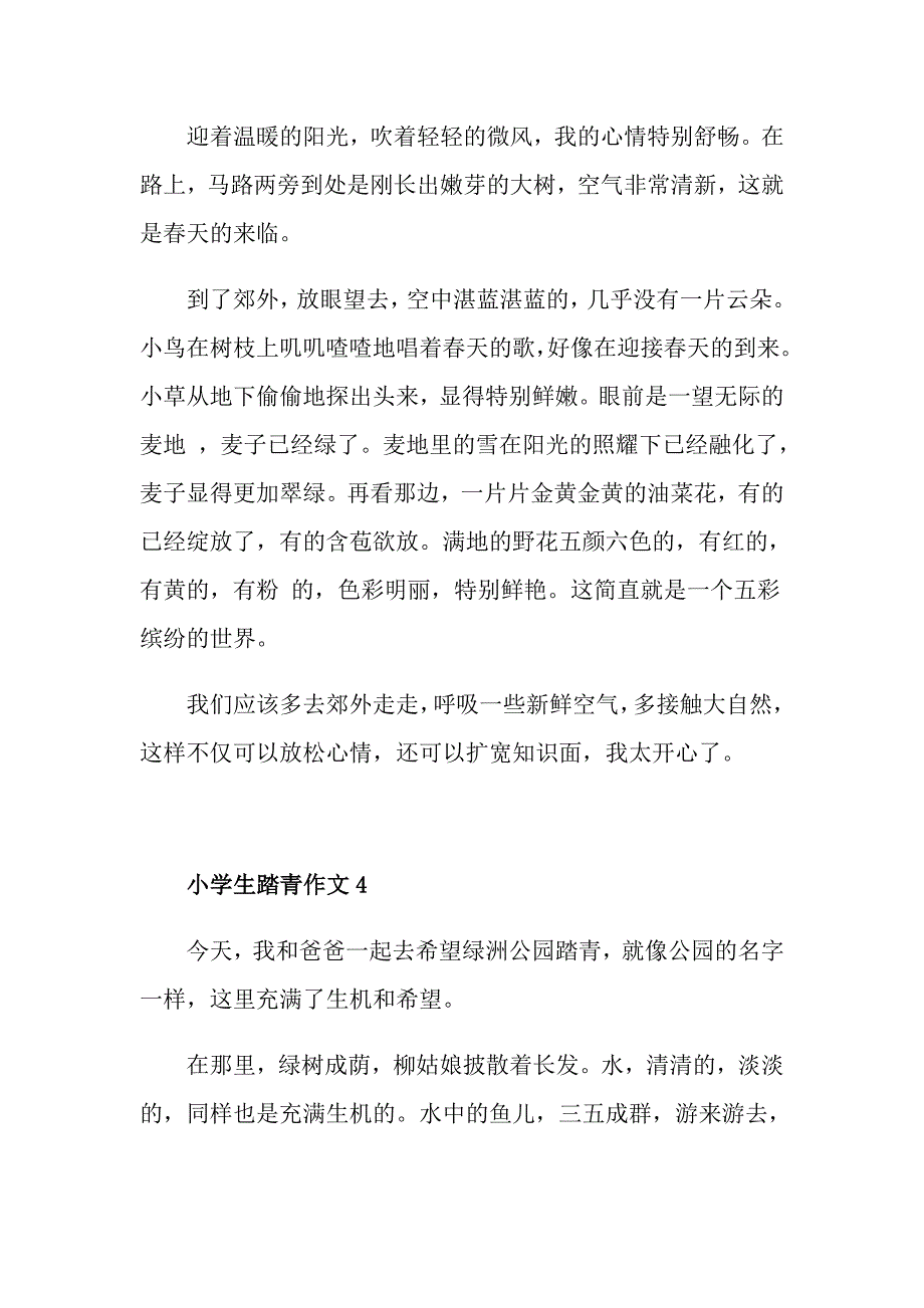 踏青作文小学生300字8篇_第3页