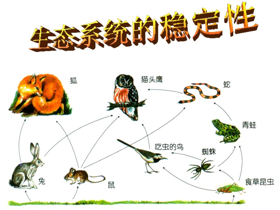 地方课程生态平衡_第2页