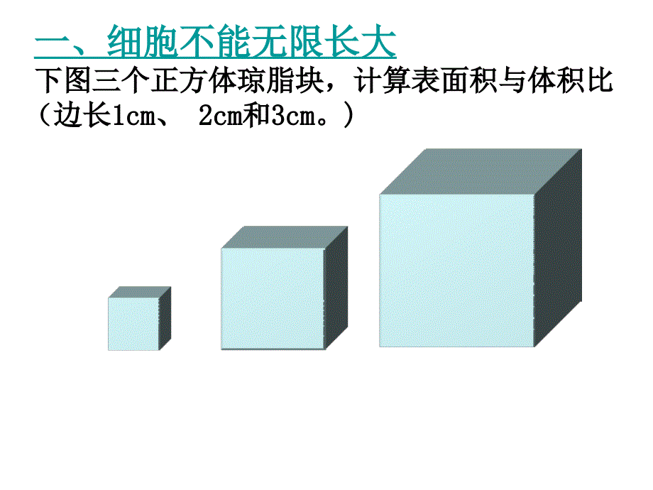 植物细胞的有丝分裂实验及习题附动画_第2页