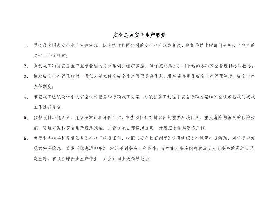 安全总监安全生产职责及工作流程_第1页