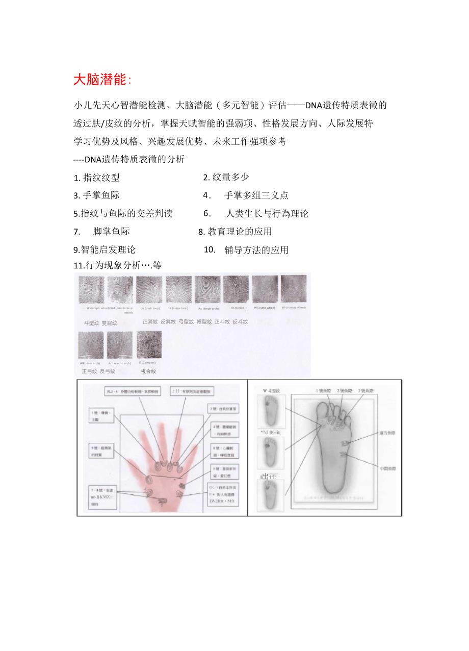 开发大脑潜能_第1页