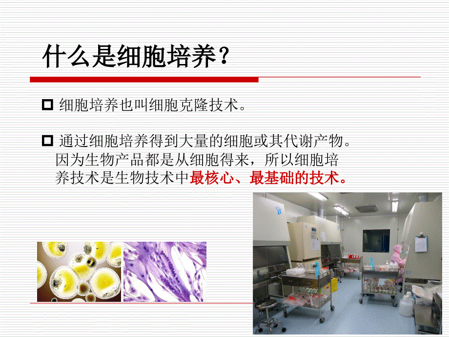 《细胞培养技术》PPT课件_第2页