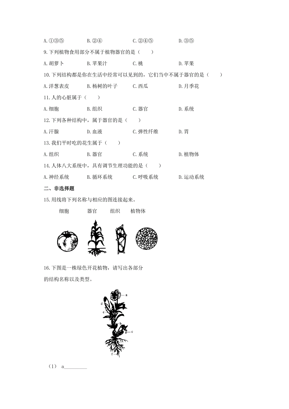 七年级生物上册2.4.2生物体的器官系统练习新版新人教版_第2页