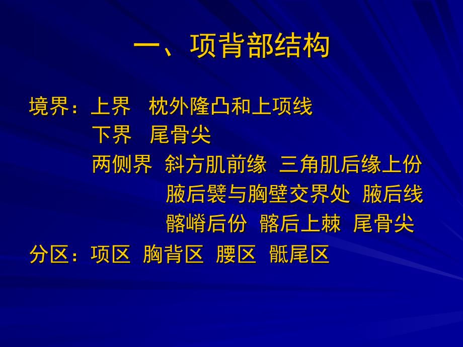 项背区、肩胛区及三角肌区解剖_第3页