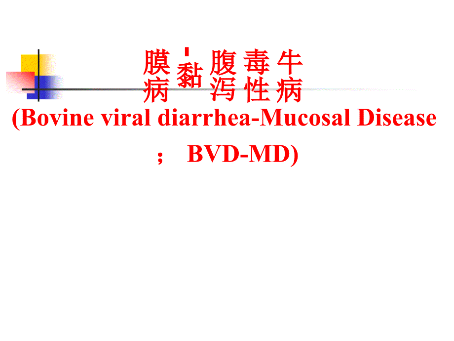 第2节牛病毒性腹泻粘膜病_第1页