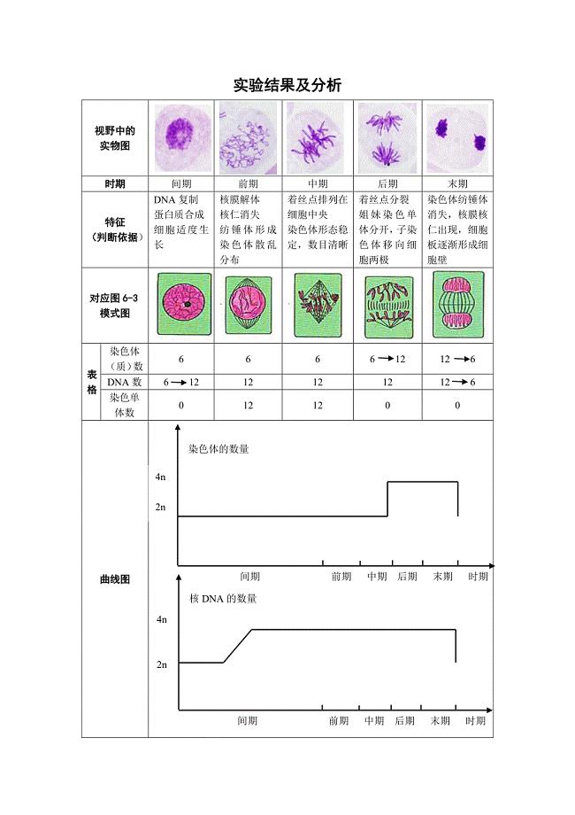 课堂归纳（实验结果的分析）