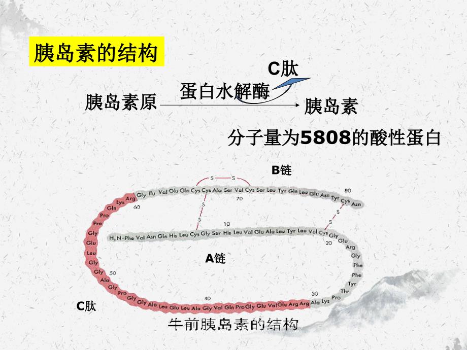 药理学第32章降血糖药_第4页