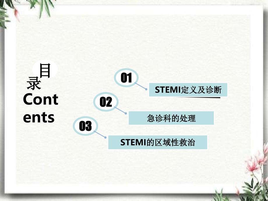 STEMI患者的诊断与鉴别诊断_第2页