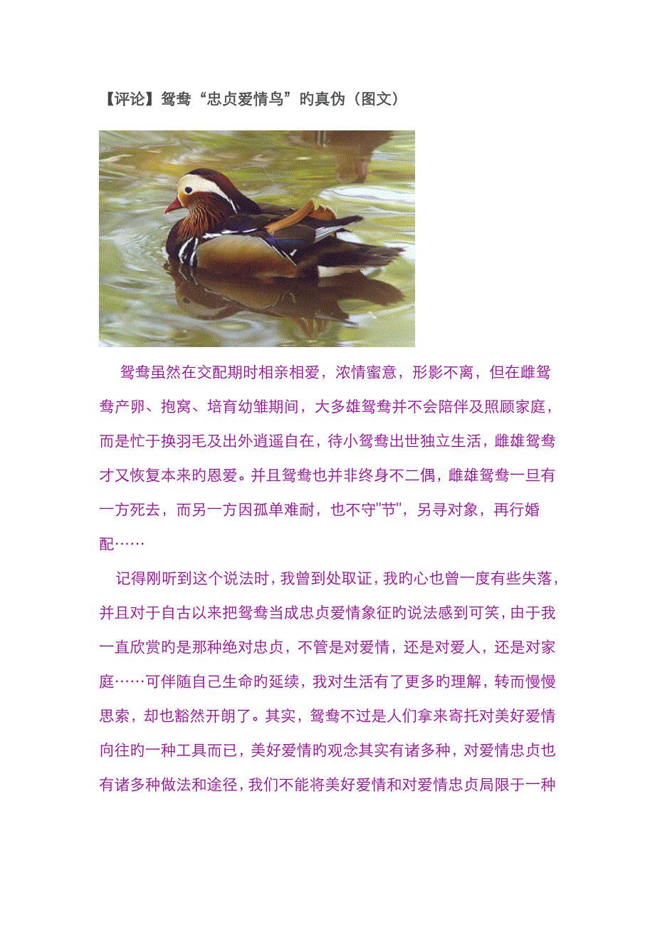 鸳鸯“忠贞爱情鸟”的真伪_第1页