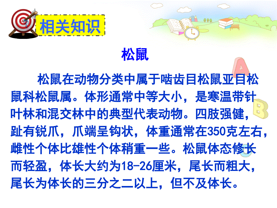 六年级上册语文课件22跑进家来的松鼠人教版共23张PPT_第4页