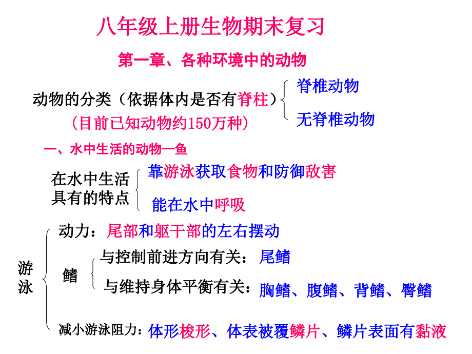 上册生物期末复习提纲初二生物课件_第1页