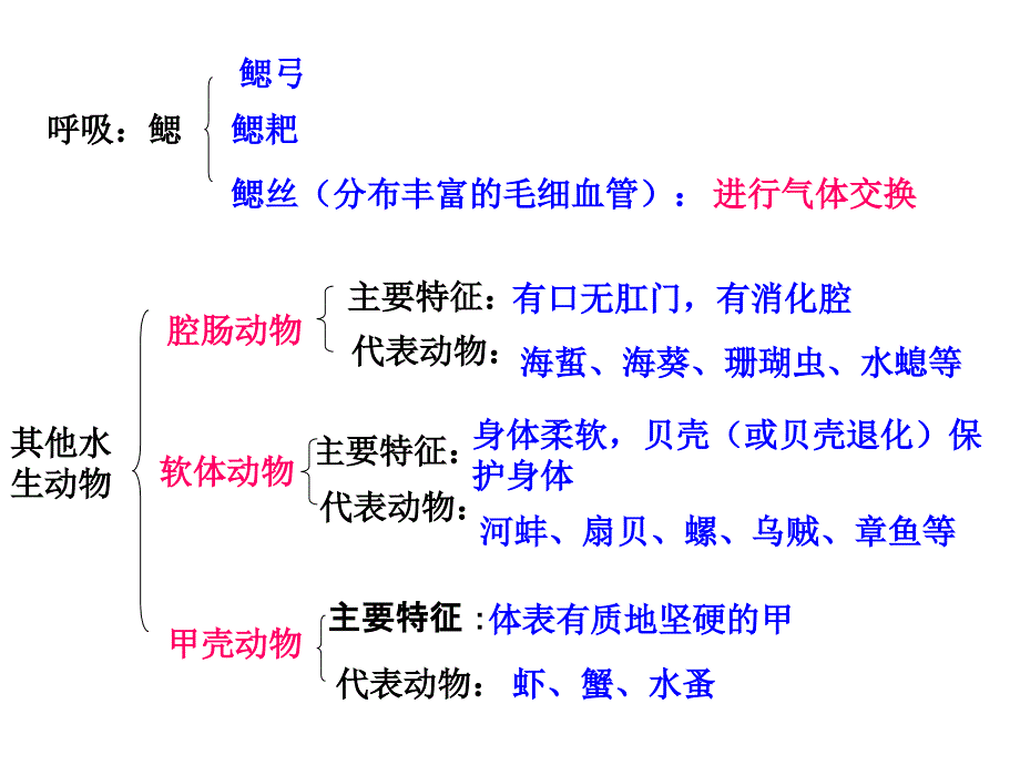 上册生物期末复习提纲初二生物课件_第2页