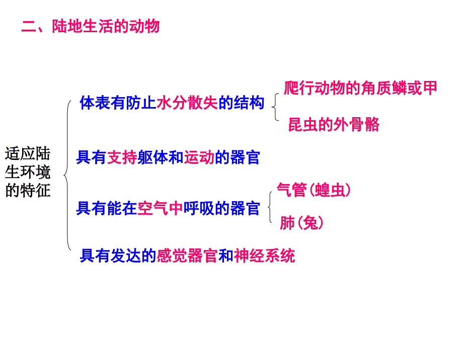 上册生物期末复习提纲初二生物课件_第4页