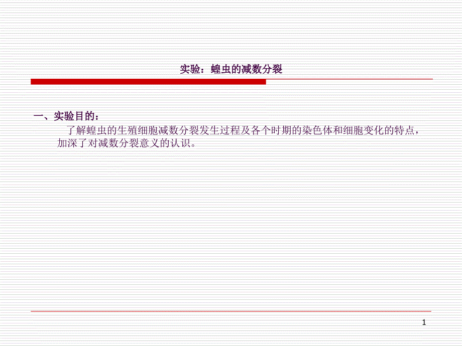 实验.蝗虫的减数分裂ppt课件_第1页