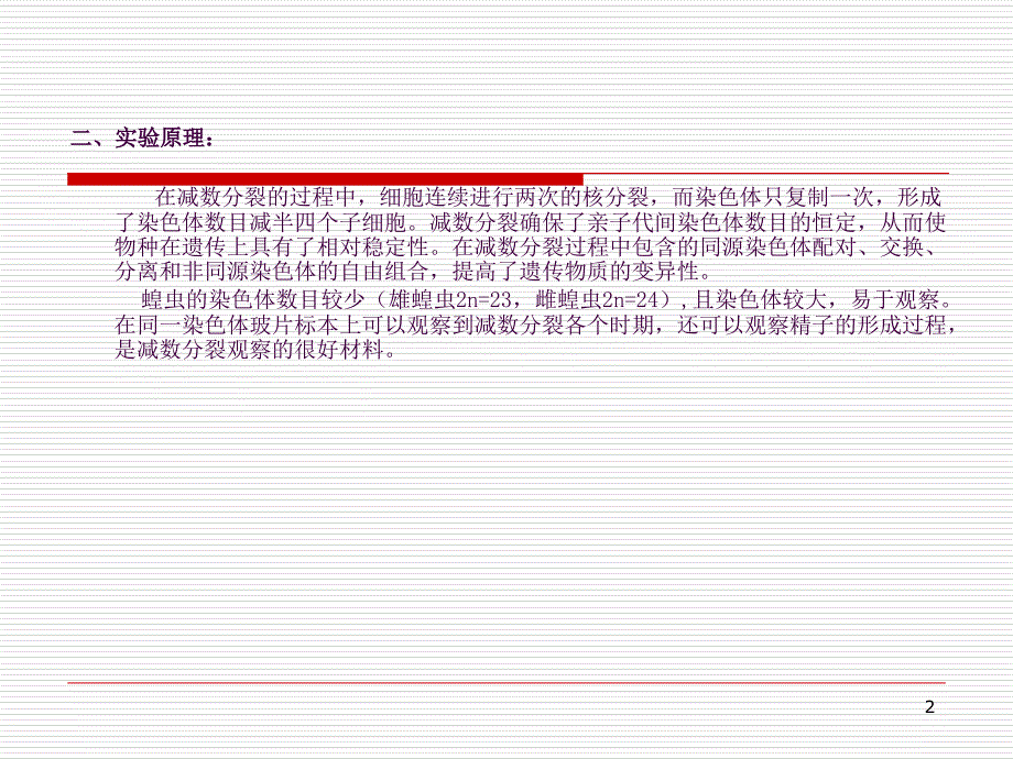 实验.蝗虫的减数分裂ppt课件_第2页