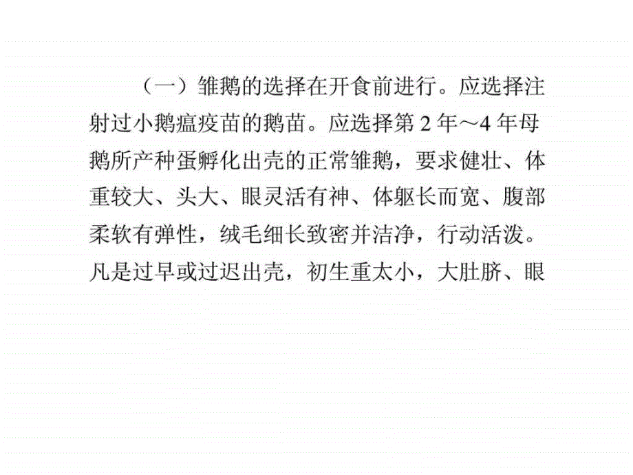 养鹅效益好方法须得当.ppt_第2页