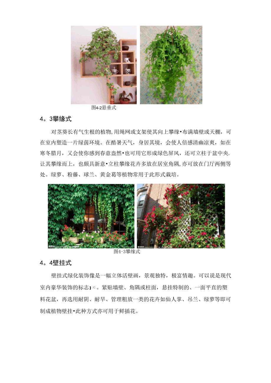 室内绿化植物的养护与管理_第4页