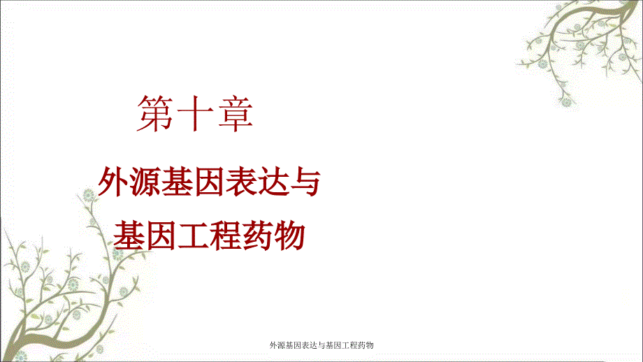 外源基因表达与基因工程药物_第1页