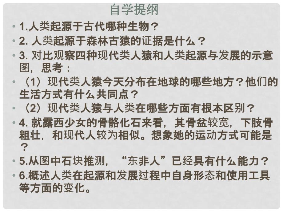 湖南省张家界市桑植县七年级生物下册 第四单元 第一章 第一节 人类起源和发展课件 （新版）新人教版_第3页