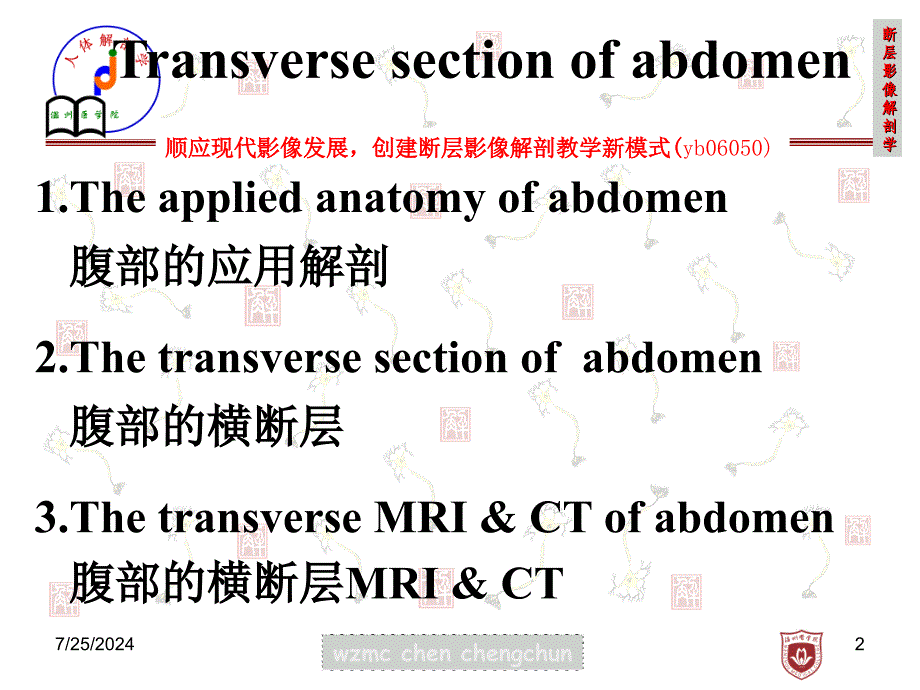 断层影像解剖学：2011 transverse section of abdomen_第2页