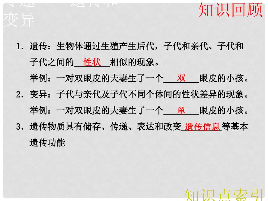 中考科学第一轮复习《生物的进化、遗传与变异》课件 浙教版_第3页