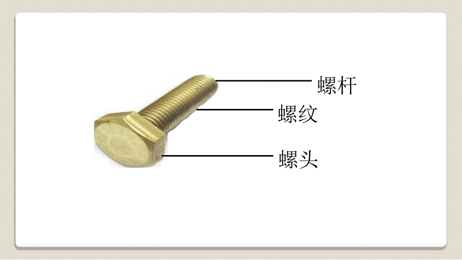 苏教版小学科学二年级下册11《拧螺丝》ppt课件_第4页