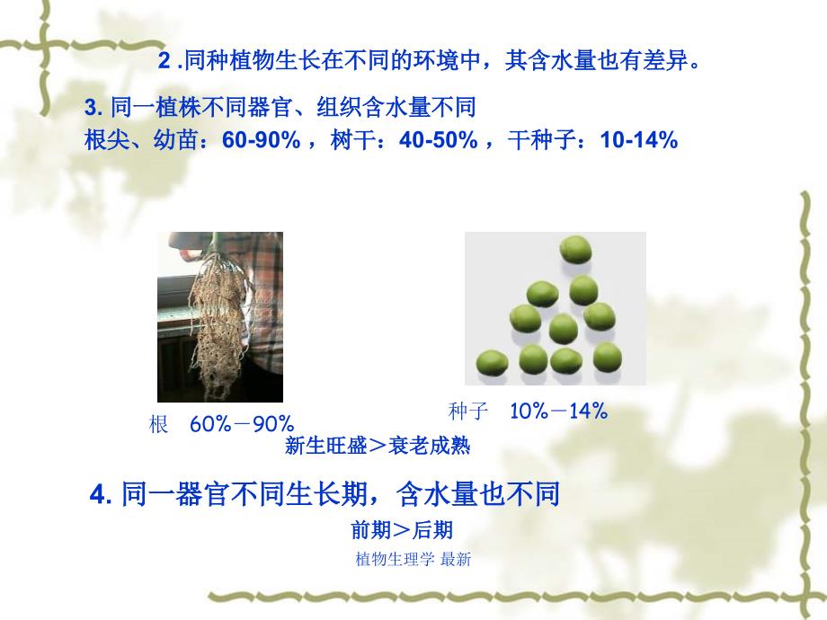 植物生理学最新课件_第4页