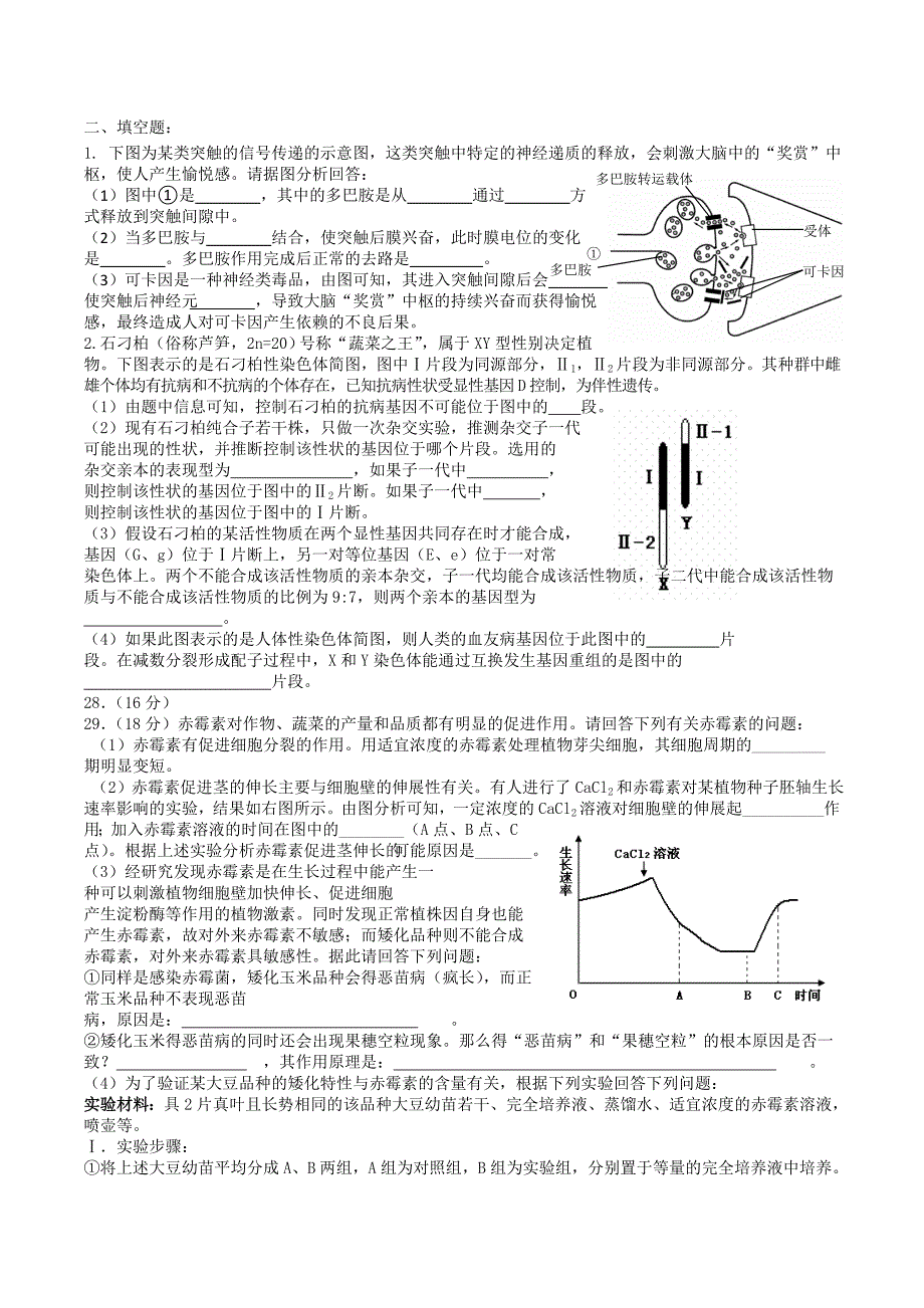 华科附中理综生物40分钟专练（4）_第2页