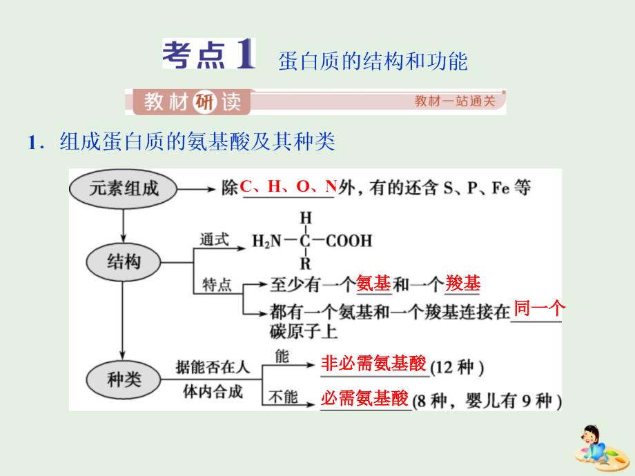 人教通用版版高考生物新探究大一轮复习第3讲生命活动的主要承担者蛋白质a课件_第3页