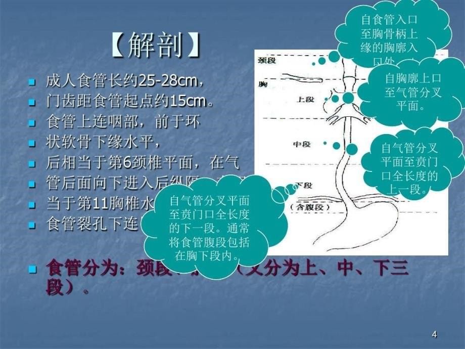 食管癌的手术护理配合共33页文档课件_第5页