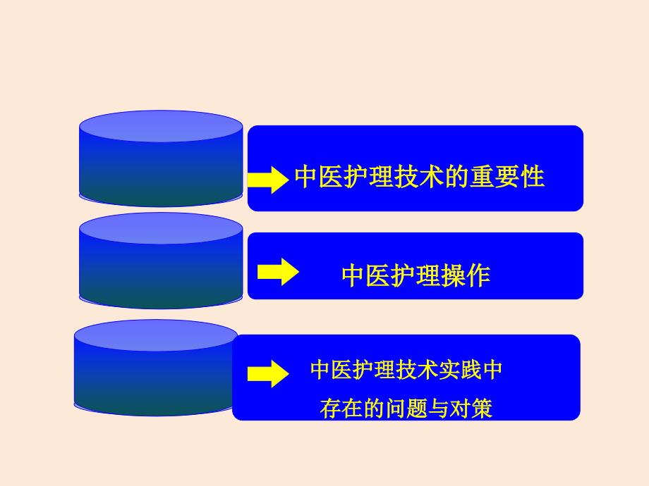 中医护理技术1_第2页