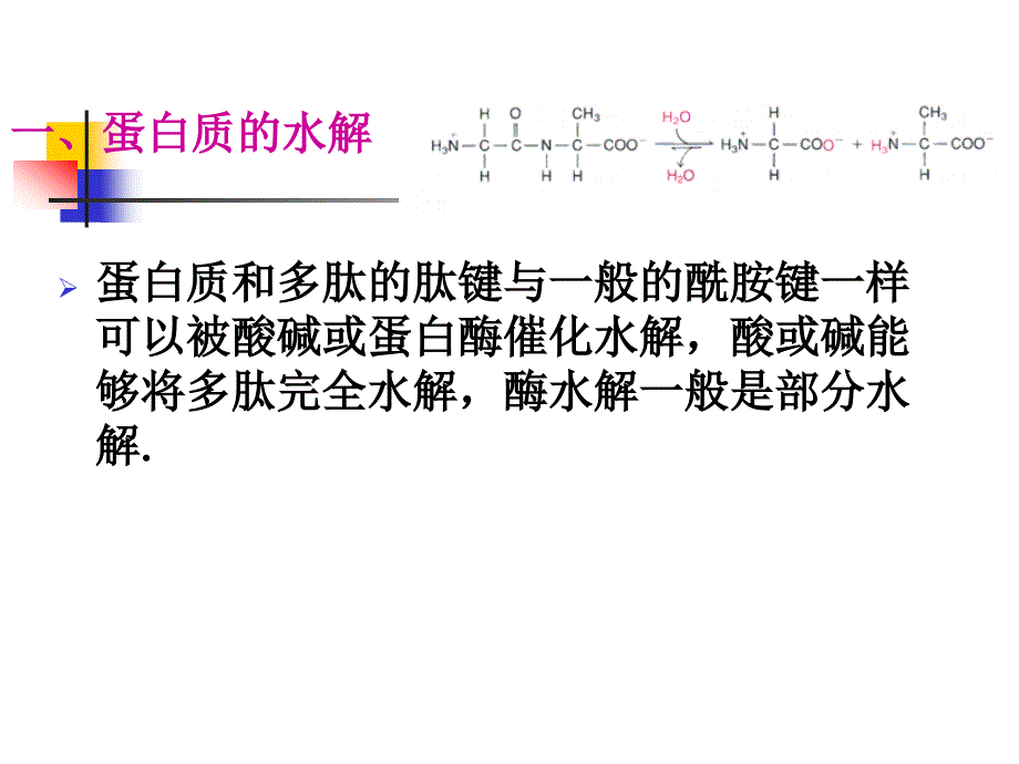 （三）氨基酸的化学反应_第2页