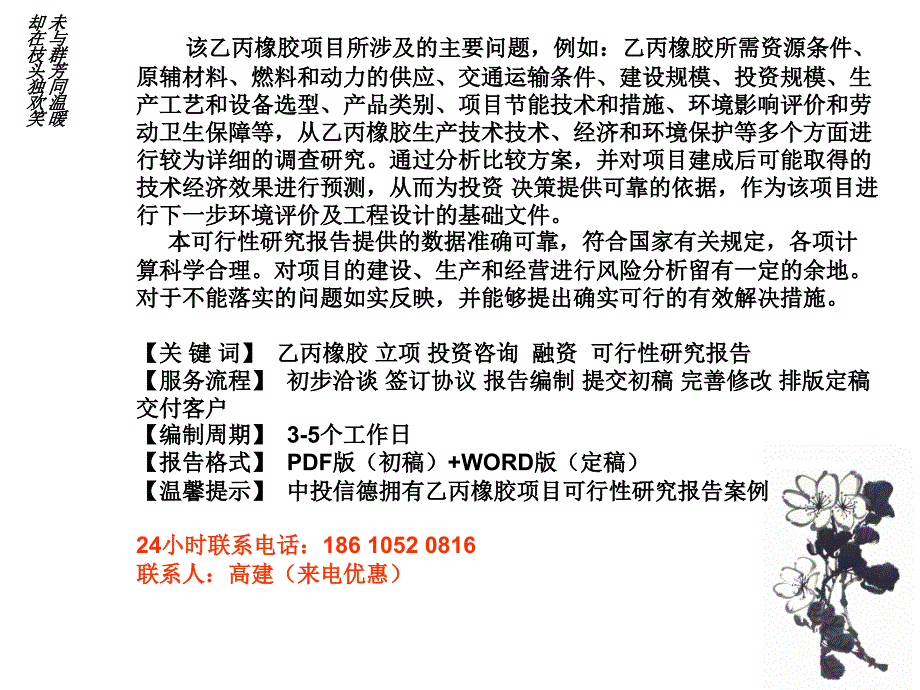 乙丙橡胶项目可行研究报告_第2页