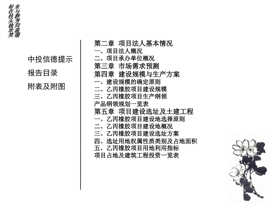 乙丙橡胶项目可行研究报告_第4页