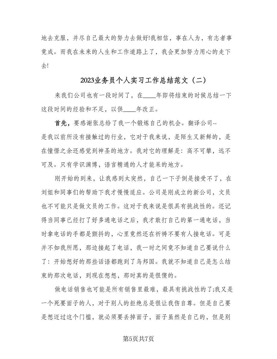 2023业务员个人实习工作总结范文（2篇）.doc_第5页