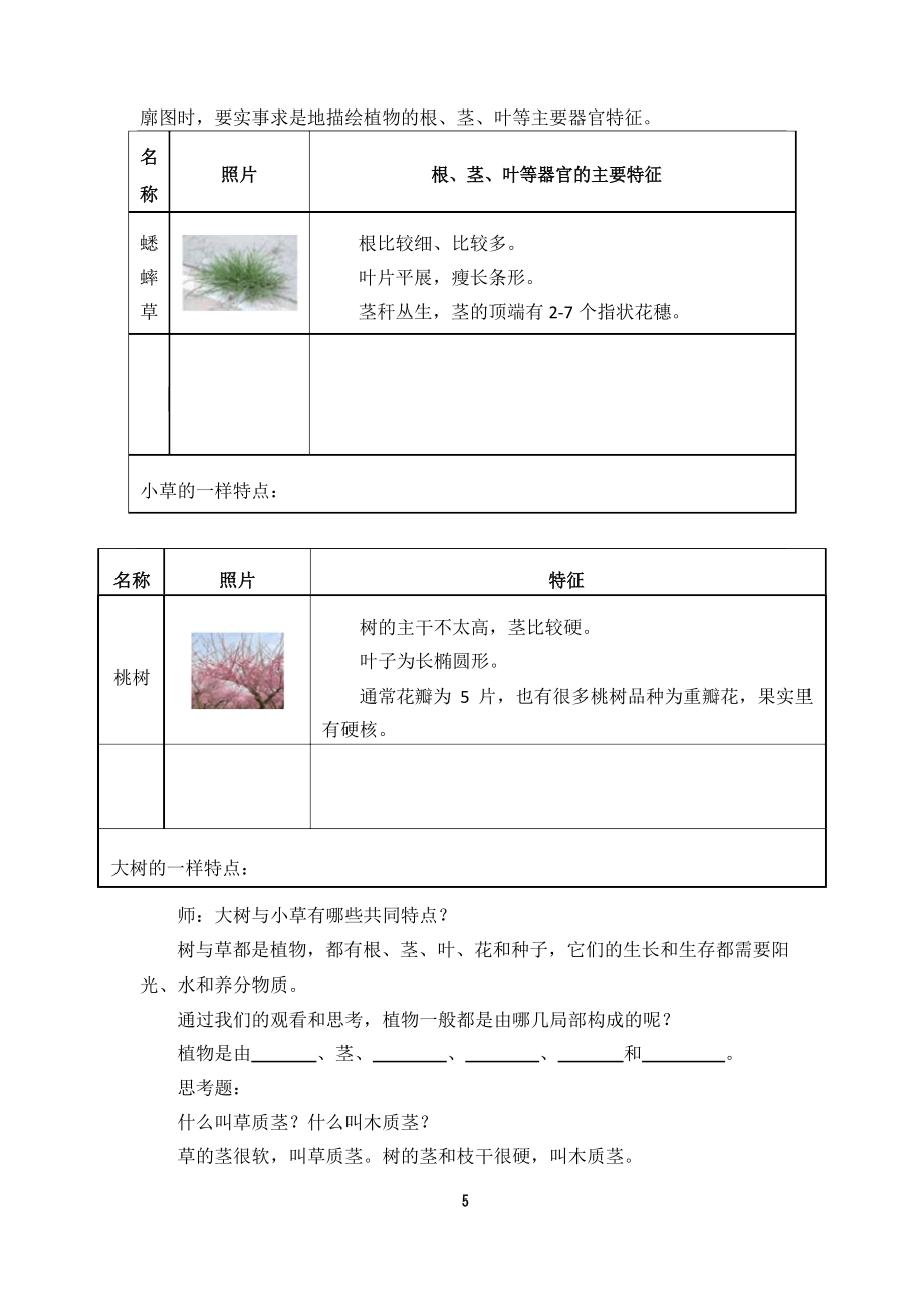 冀教版三年级下册科学教案.docx_第5页