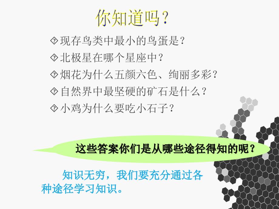 《享受学习》课件 (2)_第2页