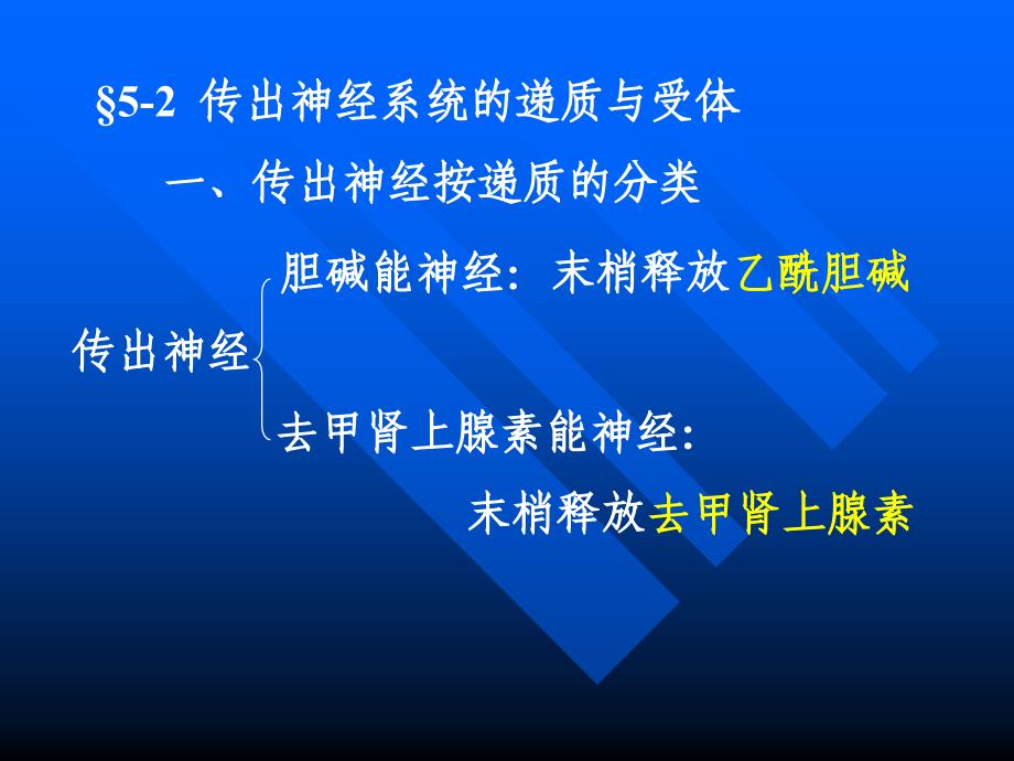 外周神经系统药理_第3页