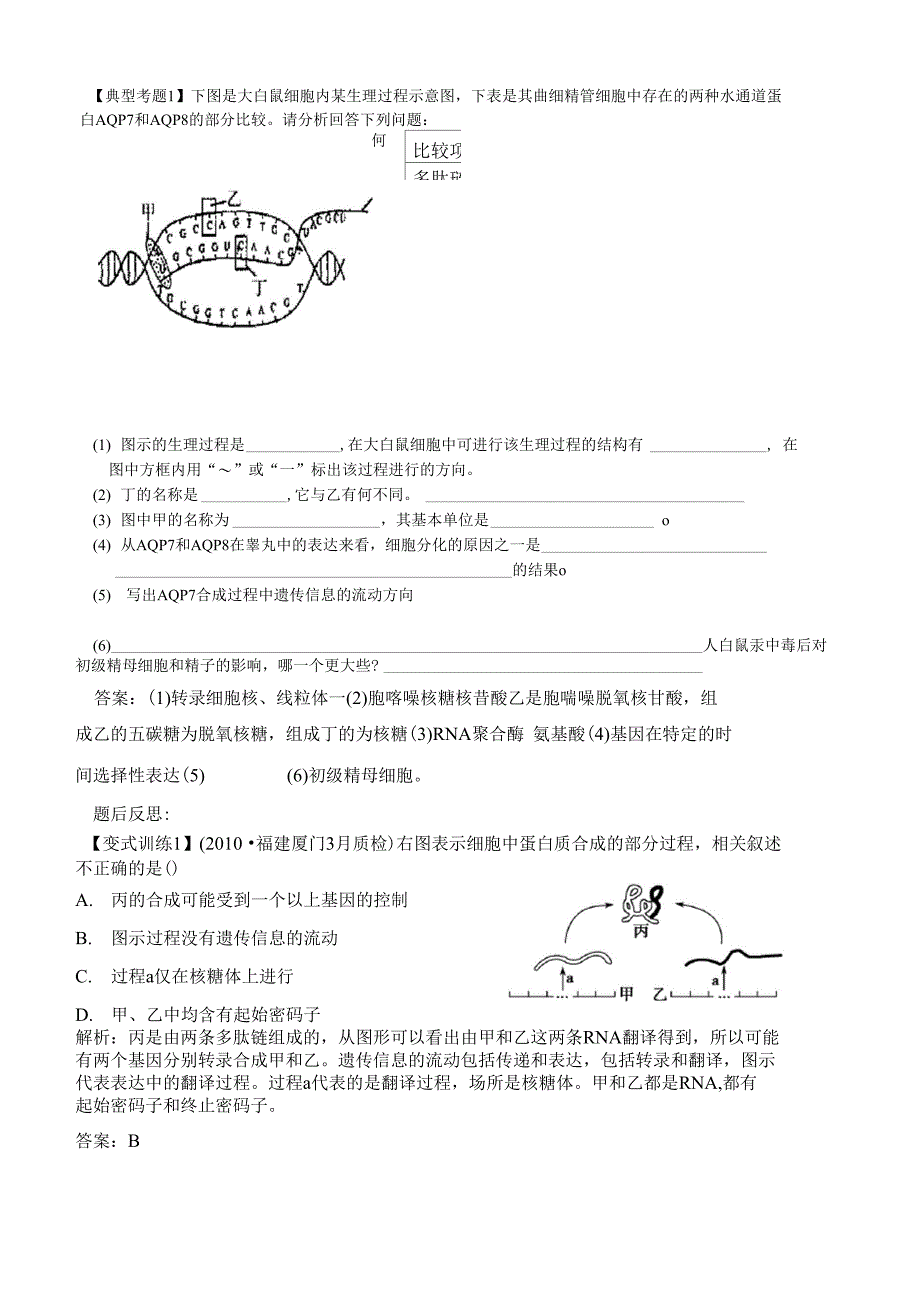 蛋白的合成和分泌专题_第2页