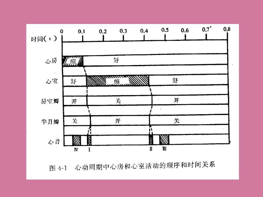 四章节血液循环ppt课件_第3页