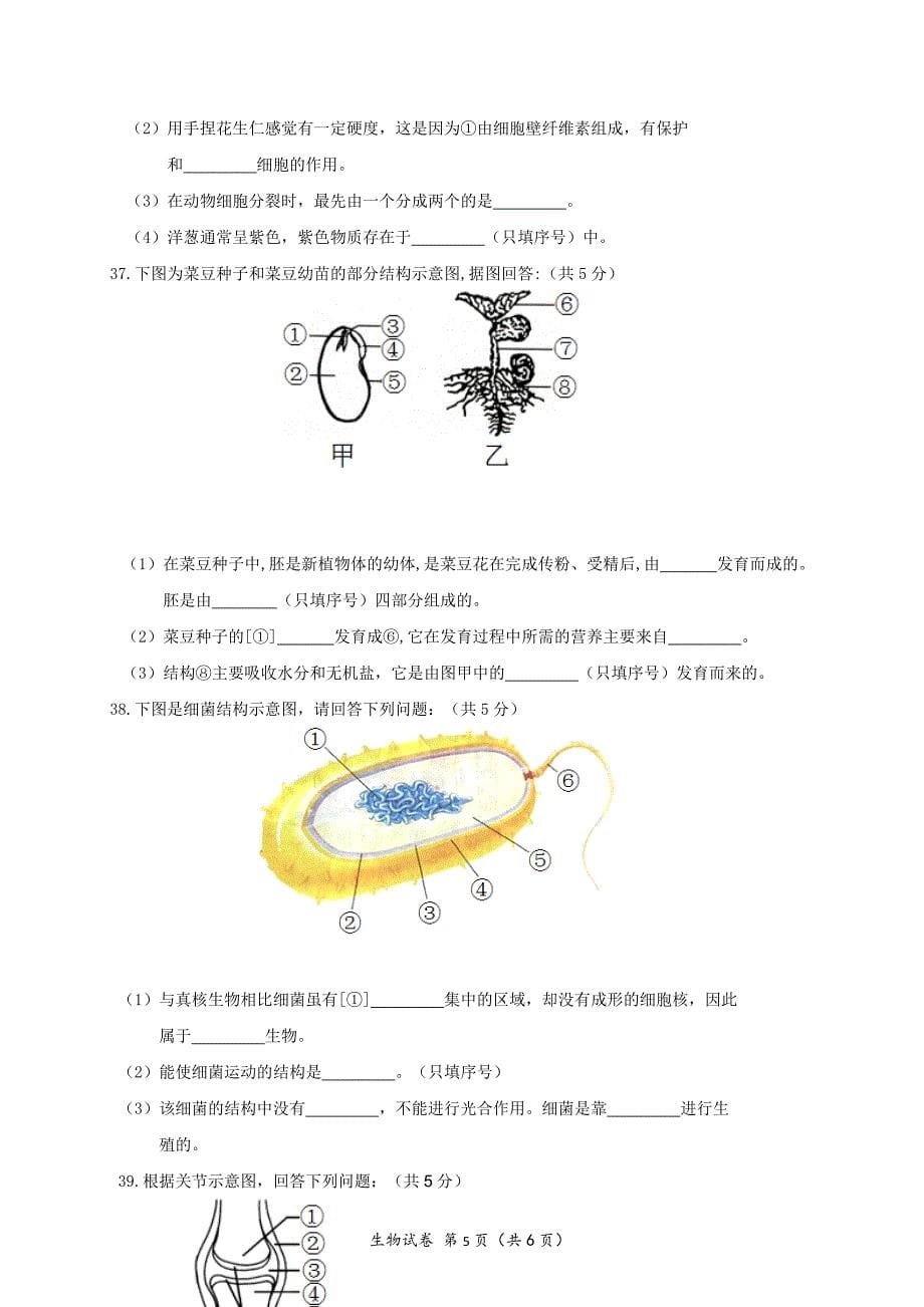 黑龙江省齐齐哈尔市建华区2020八年级下学期期中考试生物试题_第5页