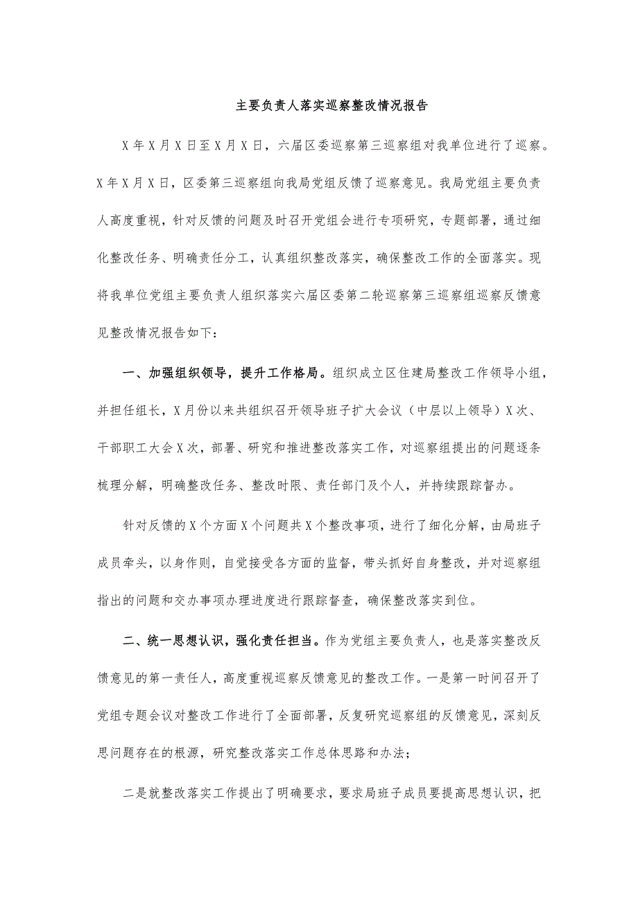 主要负责人落实巡察整改情况报告_第1页