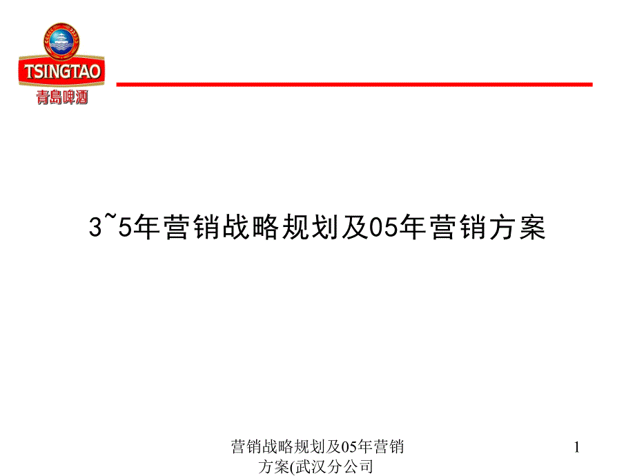 营销战略规划及05年营销方案武汉分公司课件_第1页