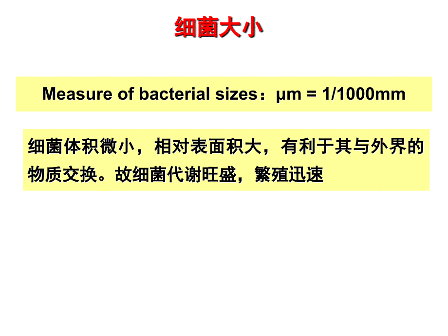 02细菌的形态与结构PPT文档_第2页