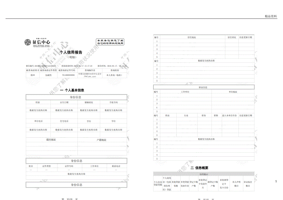 个人征信报告模板征信报告模板(2019带水印)_第1页