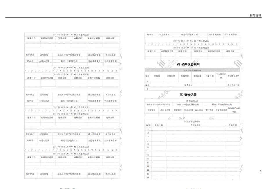 个人征信报告模板征信报告模板(2019带水印)_第3页