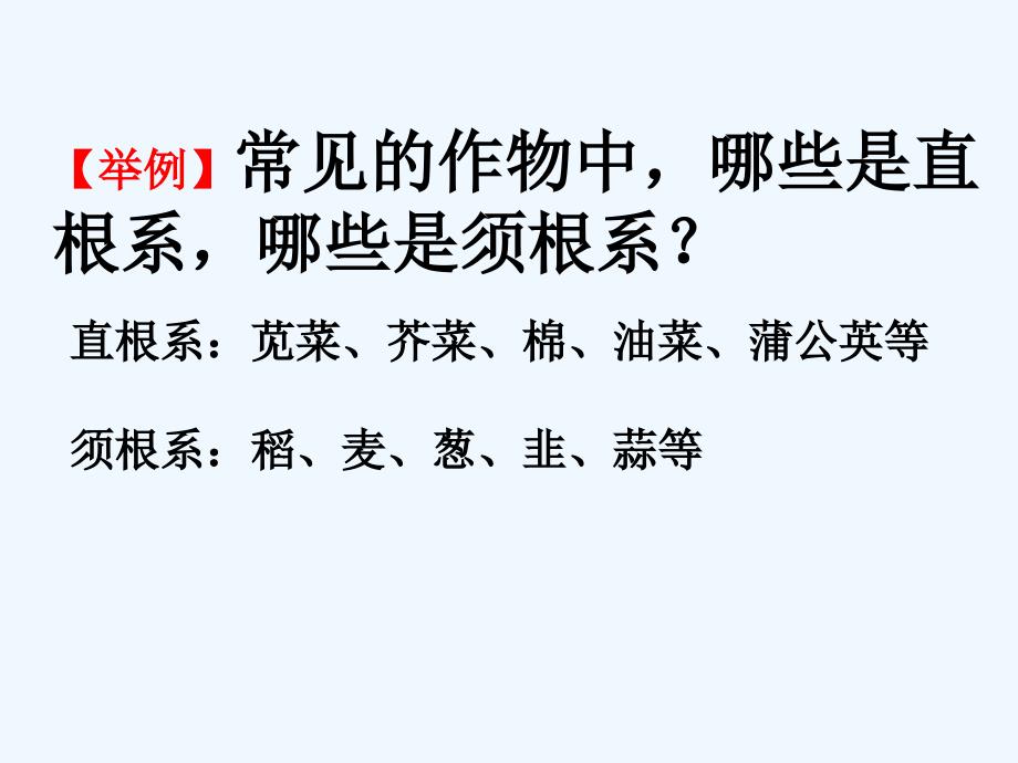 济南版八上《根的结构与功能》ppt课件电子教案_第2页