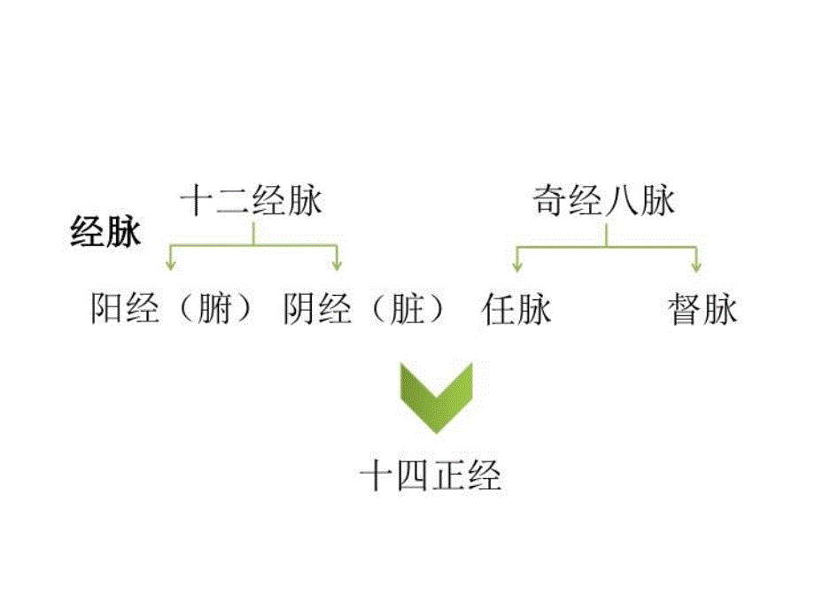 最新子午流注养生PPT课件_第3页